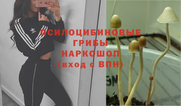 спайс Абаза