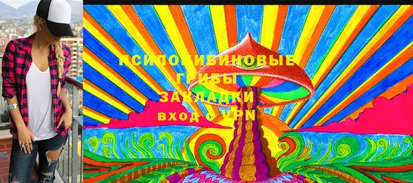 мдпв Абдулино