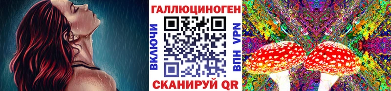 МЕГА как зайти  Чебаркуль  Псилоцибиновые грибы Magic Shrooms  сколько стоит 